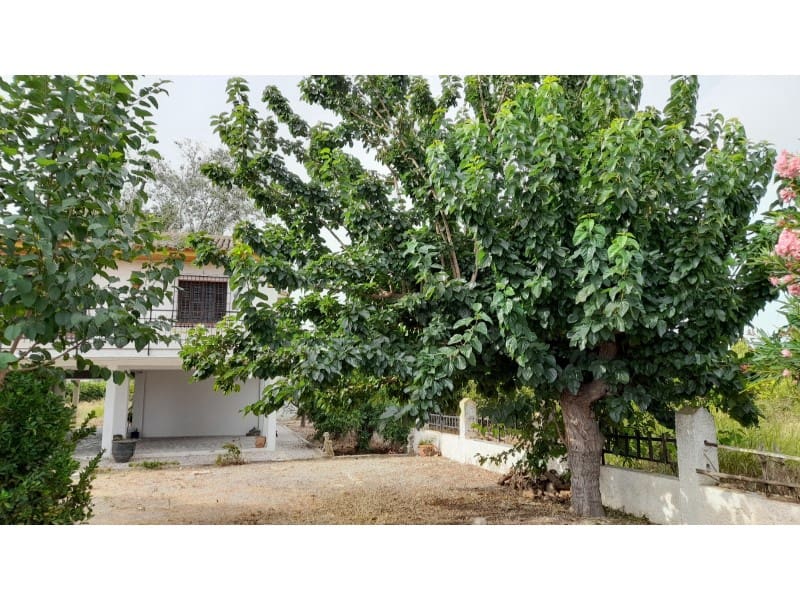 5 makuuhuone Maalaistalo myytävänä paikassa Benejuzar mukana 
autotalli - 295 000 € (Ref: 9344707)