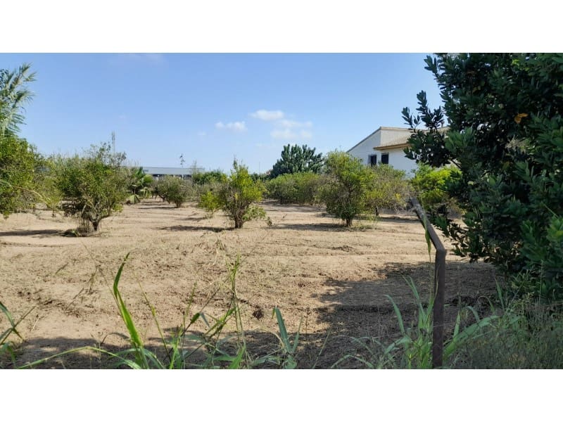 5 makuuhuone Maalaistalo myytävänä paikassa Benejuzar mukana 
autotalli - 295 000 € (Ref: 9344707)