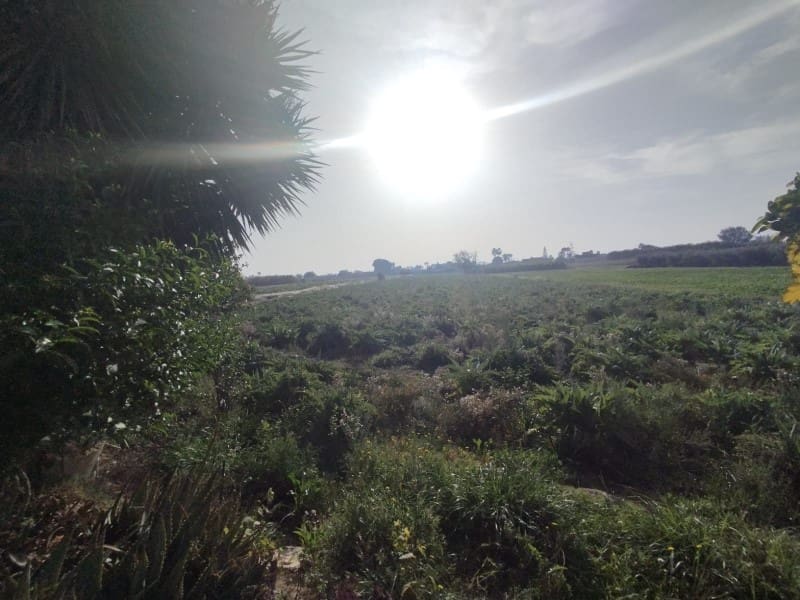 3 sypialnia Finka/Dom wiejski na sprzedaż w Dolores - 260 000 € (Ref: 9396520)