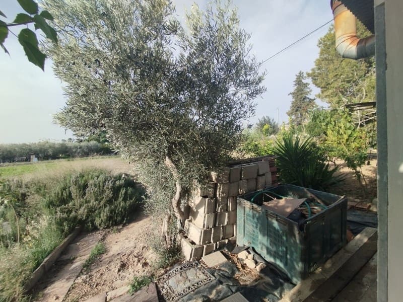 3 sypialnia Finka/Dom wiejski na sprzedaż w Dolores - 260 000 € (Ref: 9396520)