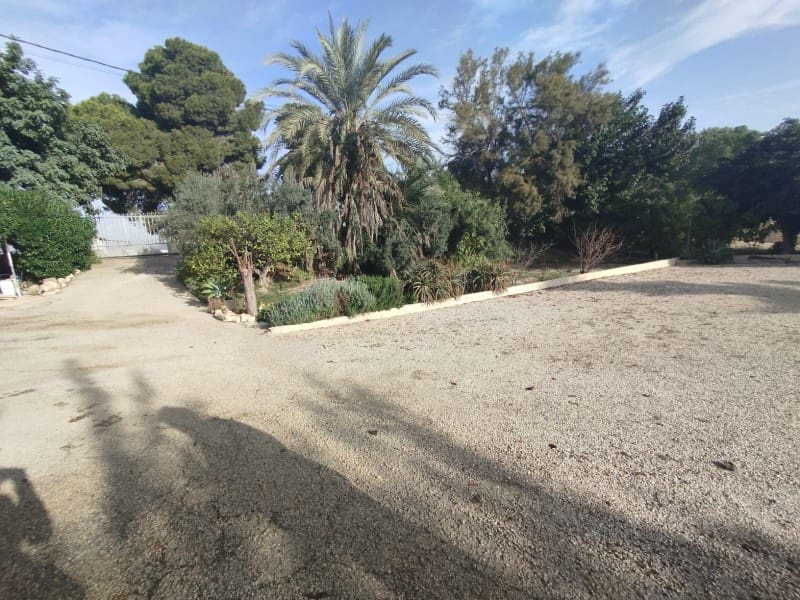 3 sypialnia Finka/Dom wiejski na sprzedaż w Dolores - 260 000 € (Ref: 9396520)