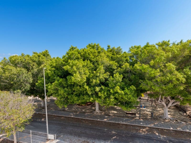 3 soverom Villa til salgs i Torre de la Horadada - € 539 900 (Ref: 9842771)