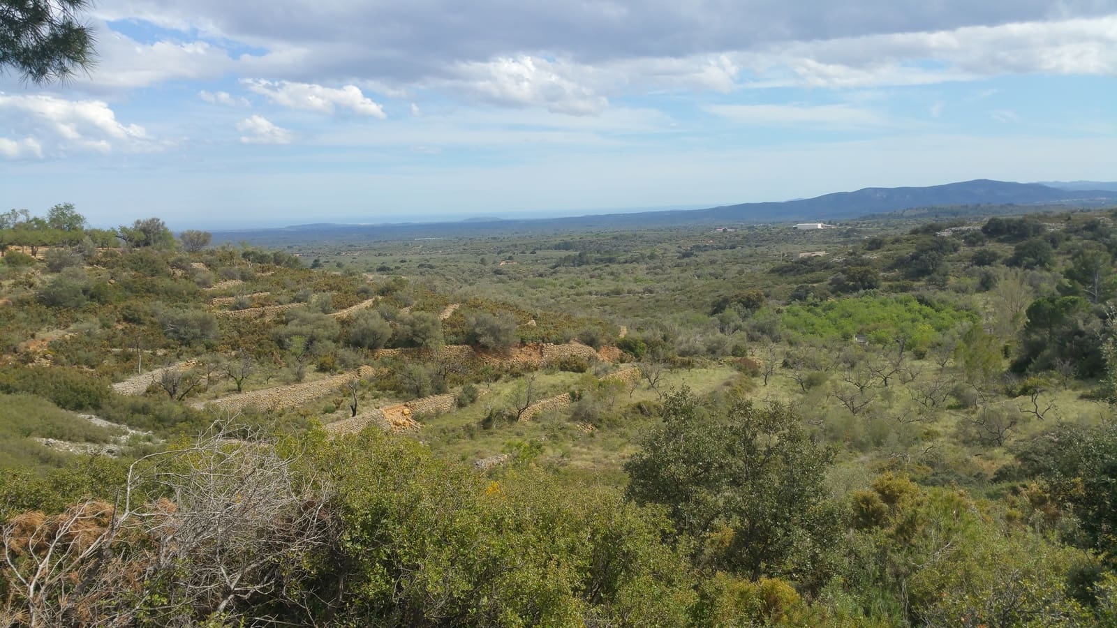 4 bedroom Finca/Country House for sale in Vinaròs € 35,000 (Ref 3318868)