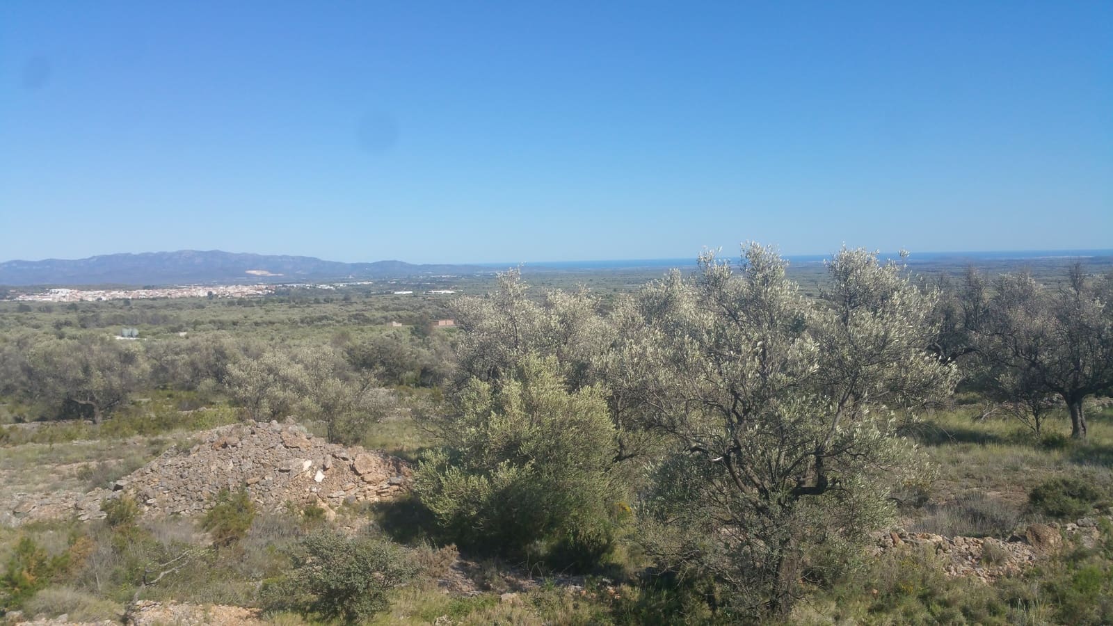 Ubebygd land til salgs i Canet lo Roig - € 35 000 (Ref: 3692468)