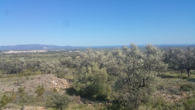 Terreno Non Edificato in vendita in Canet lo Roig - 35.000 € (Rif: 3692468)