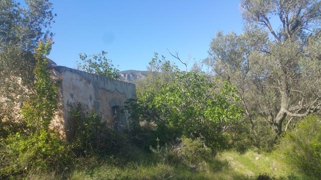 Terreno Non Edificato in vendita in Canet lo Roig - 35.000 € (Rif: 3692468)