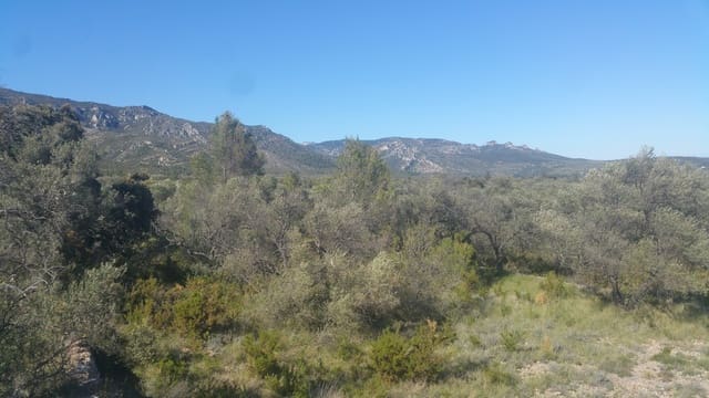 Undeveloped Land for sale in Canet lo Roig - € 33,000 (Ref: 3692468)