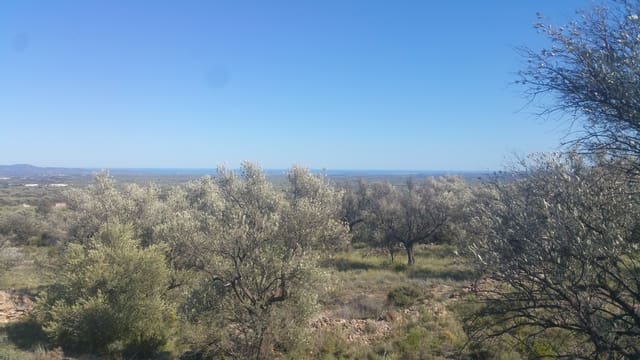 Undeveloped Land for sale in Canet lo Roig - € 33,000 (Ref: 3692468)