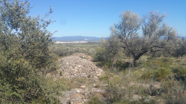 Undeveloped Land for sale in Canet lo Roig - € 33,000 (Ref: 3692468)