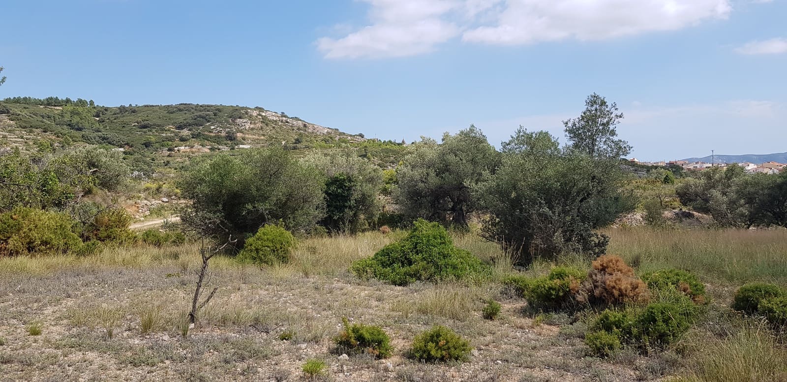 4 chambre Finca/Maison de Campagne à vendre à Rossell - 25 000 € (Ref: 4116630)