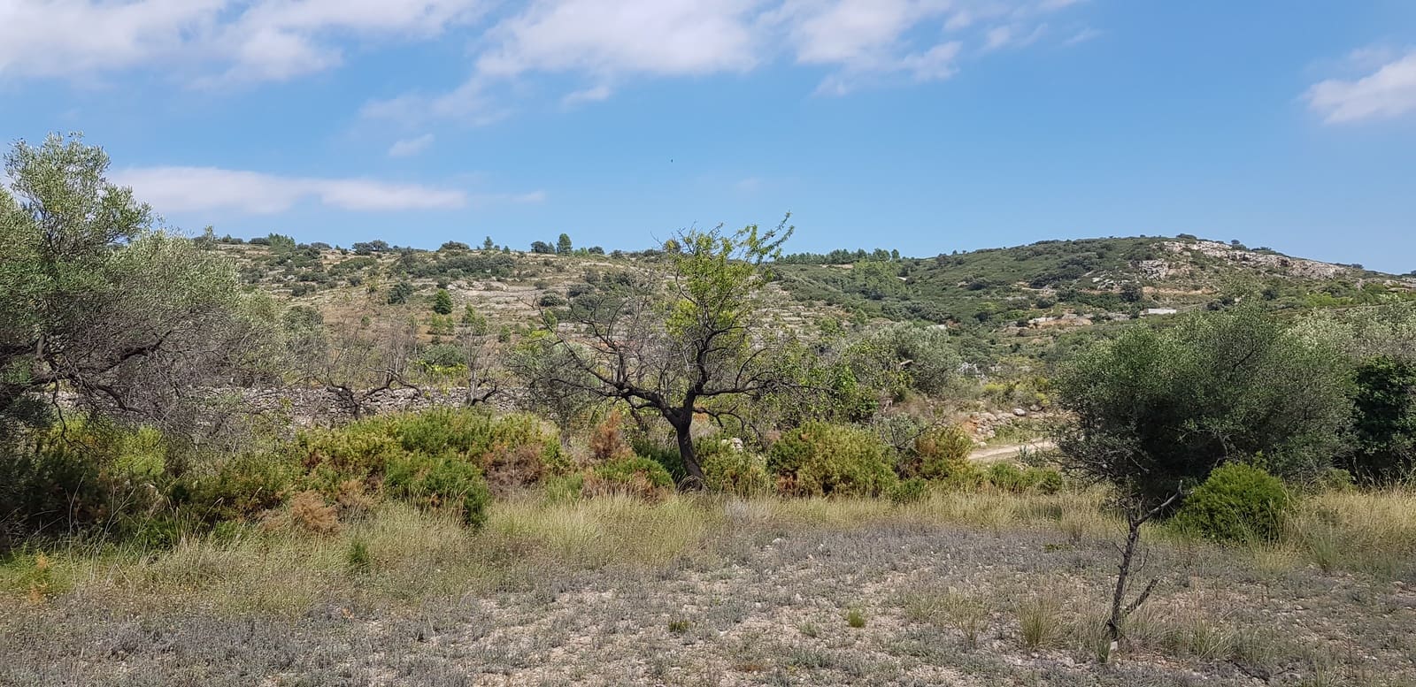 4 chambre Finca/Maison de Campagne à vendre à Rossell - 25 000 € (Ref: 4116630)