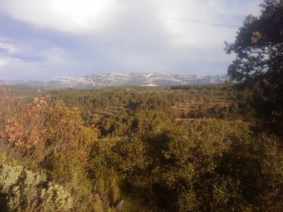 Fincas Country Houses For Sale In Arens De Lledo 17 Found