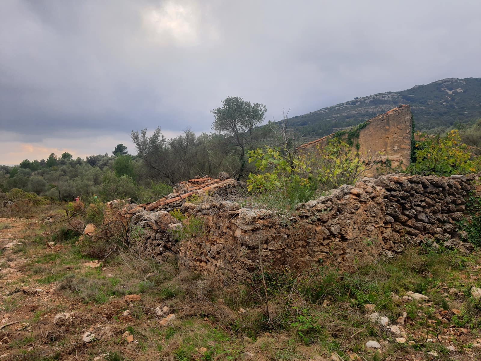 6 bedroom Finca/Country House for sale in San Rafael del Rio / Sant Rafael del Riu - € 83,000 (Ref: 5169508)