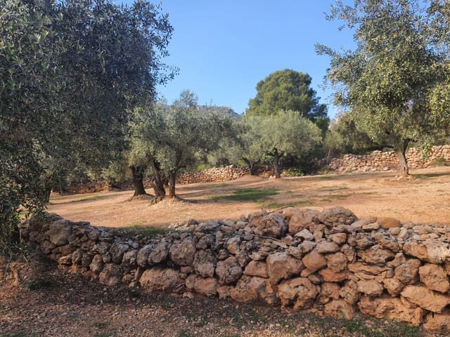 1 bedroom Finca/Country House for sale in San Rafael del Rio / Sant Rafael del Riu - € 28,000 (Ref: 6459110)