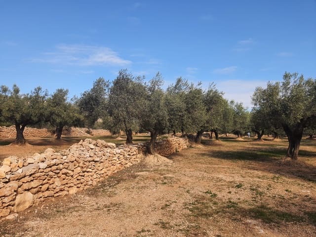 1 bedroom Finca/Country House for sale in San Rafael del Rio / Sant Rafael del Riu - € 28,000 (Ref: 6459110)