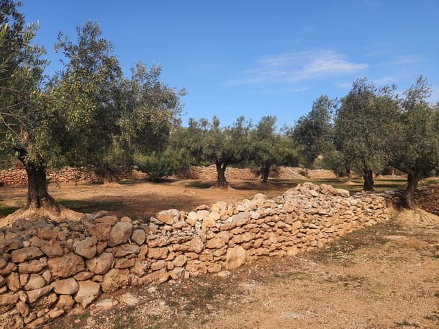 1 bedroom Finca/Country House for sale in San Rafael del Rio / Sant Rafael del Riu - € 28,000 (Ref: 6459110)