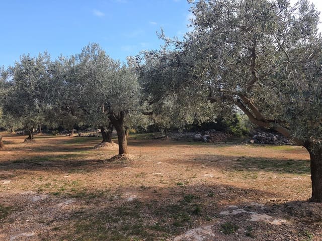 1 bedroom Finca/Country House for sale in San Rafael del Rio / Sant Rafael del Riu - € 28,000 (Ref: 6459110)