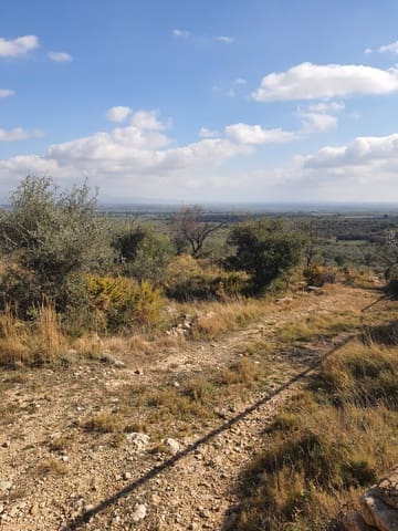 3 bedroom Finca/Country House for sale in San Rafael del Rio / Sant Rafael del Riu - € 31,000 (Ref: 7325440)
