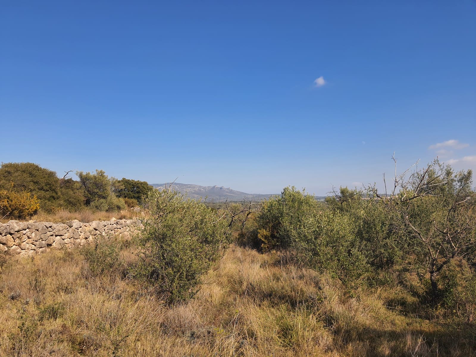 3 bedroom Finca/Country House for sale in San Rafael del Rio / Sant Rafael del Riu - € 31,000 (Ref: 7325440)