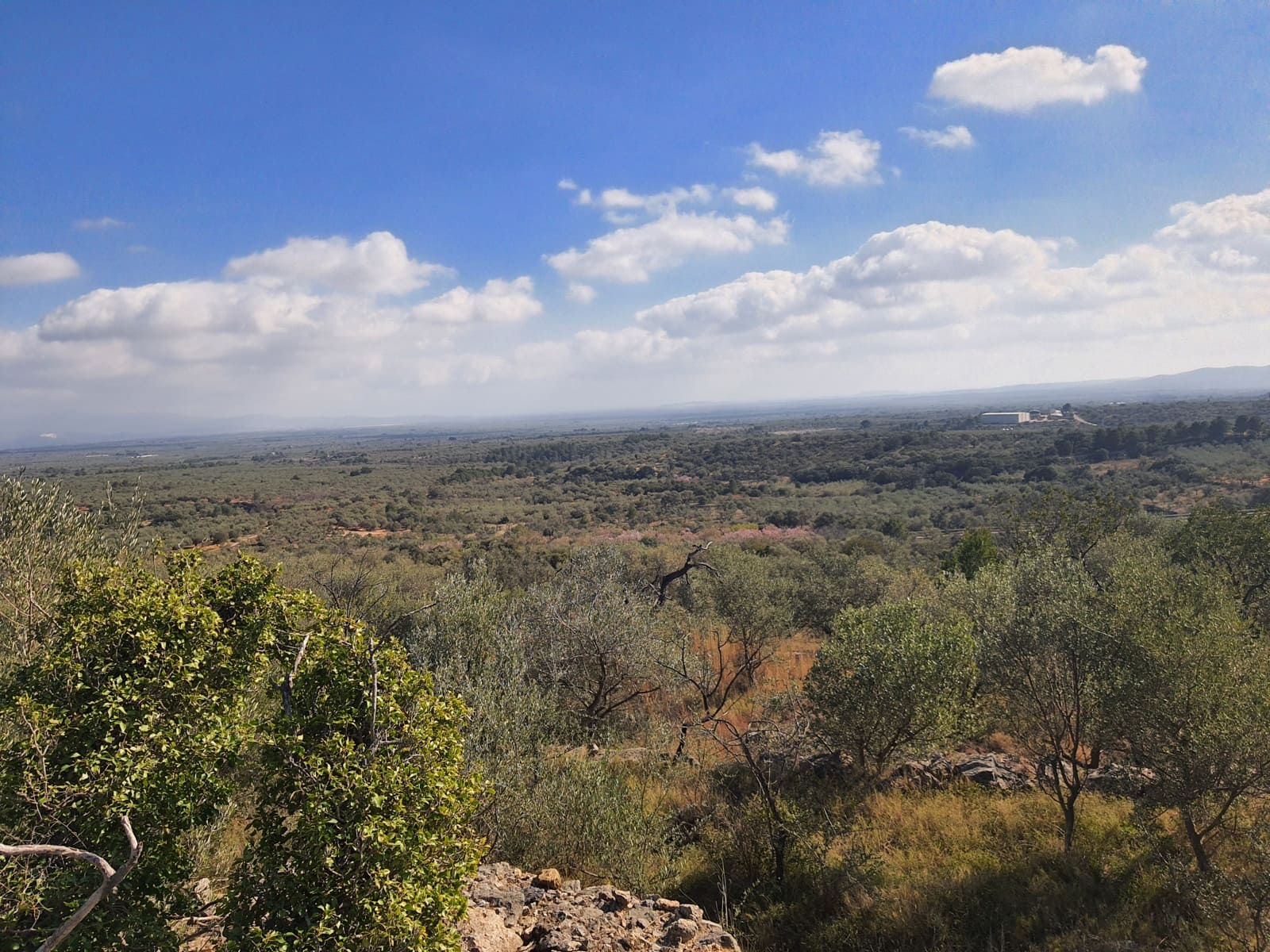 3 bedroom Finca/Country House for sale in San Rafael del Rio / Sant Rafael del Riu - € 31,000 (Ref: 7325440)