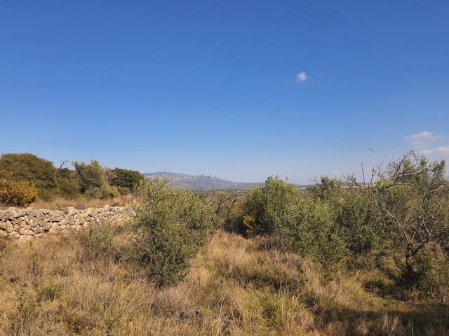 3 bedroom Finca/Country House for sale in San Rafael del Rio / Sant Rafael del Riu - € 31,000 (Ref: 7325440)