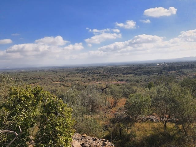 3 bedroom Finca/Country House for sale in San Rafael del Rio / Sant Rafael del Riu - € 31,000 (Ref: 7325440)