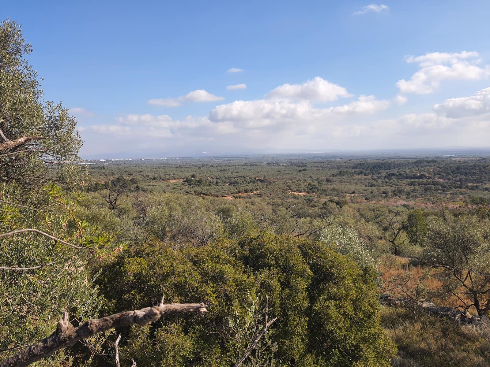 3 bedroom Finca/Country House for sale in San Rafael del Rio / Sant Rafael del Riu - € 31,000 (Ref: 7325440)