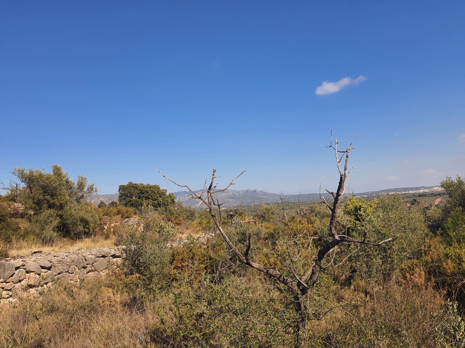 3 bedroom Finca/Country House for sale in San Rafael del Rio / Sant Rafael del Riu - € 31,000 (Ref: 7325440)