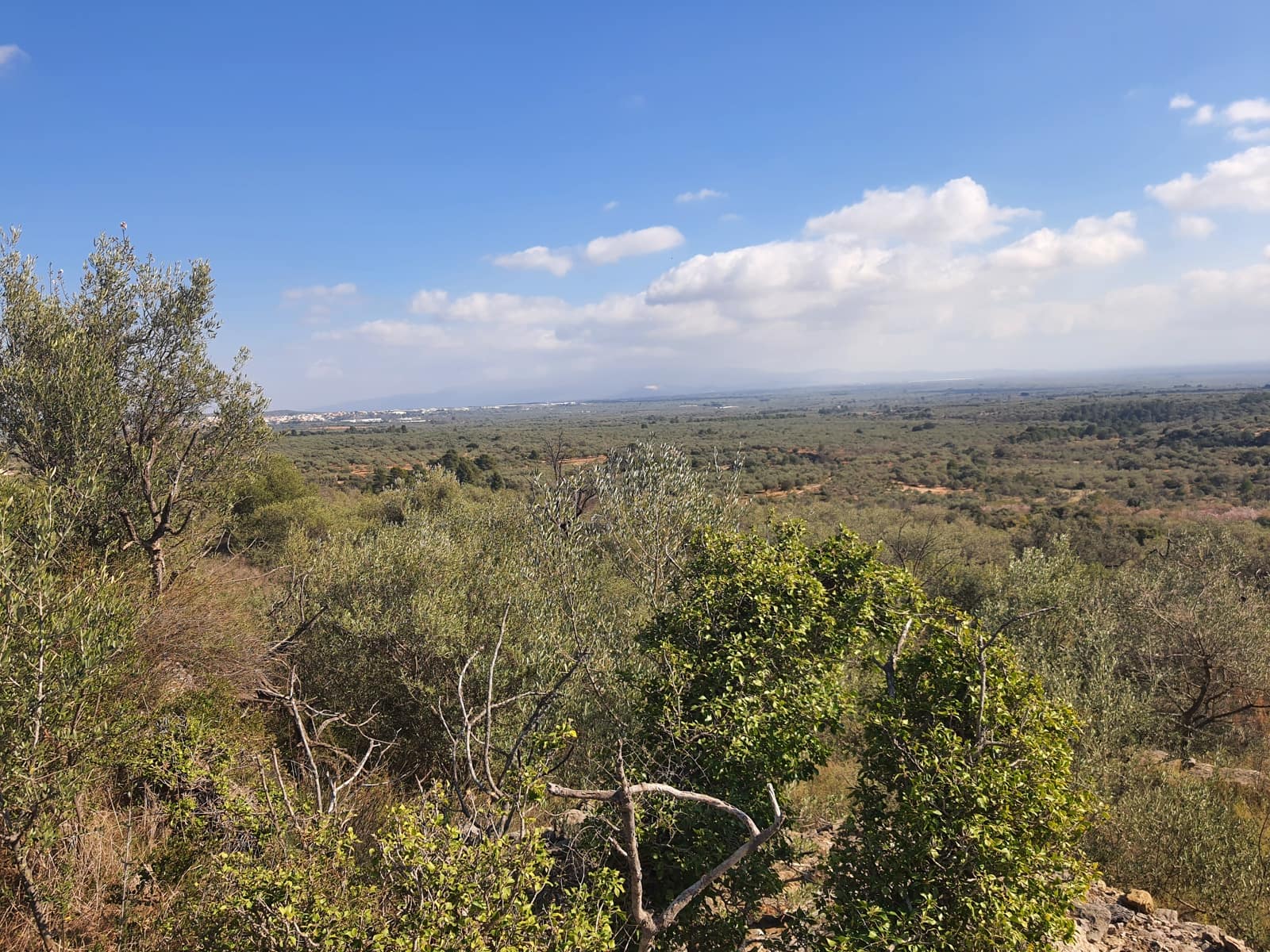 3 bedroom Finca/Country House for sale in San Rafael del Rio / Sant Rafael del Riu - € 31,000 (Ref: 7325440)