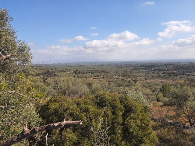 3 bedroom Finca/Country House for sale in San Rafael del Rio / Sant Rafael del Riu - € 31,000 (Ref: 7325440)