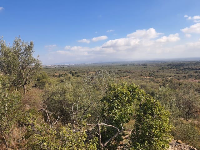 3 bedroom Finca/Country House for sale in San Rafael del Rio / Sant Rafael del Riu - € 31,000 (Ref: 7325440)