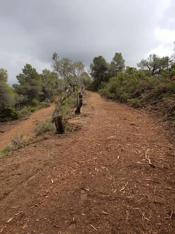 Undeveloped Land for sale in Cretas - € 45,000 (Ref: 7343575)