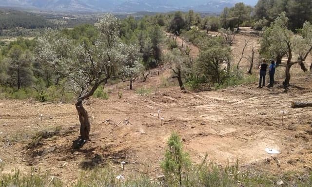 Undeveloped Land for sale in Cretas - € 45,000 (Ref: 7343575)