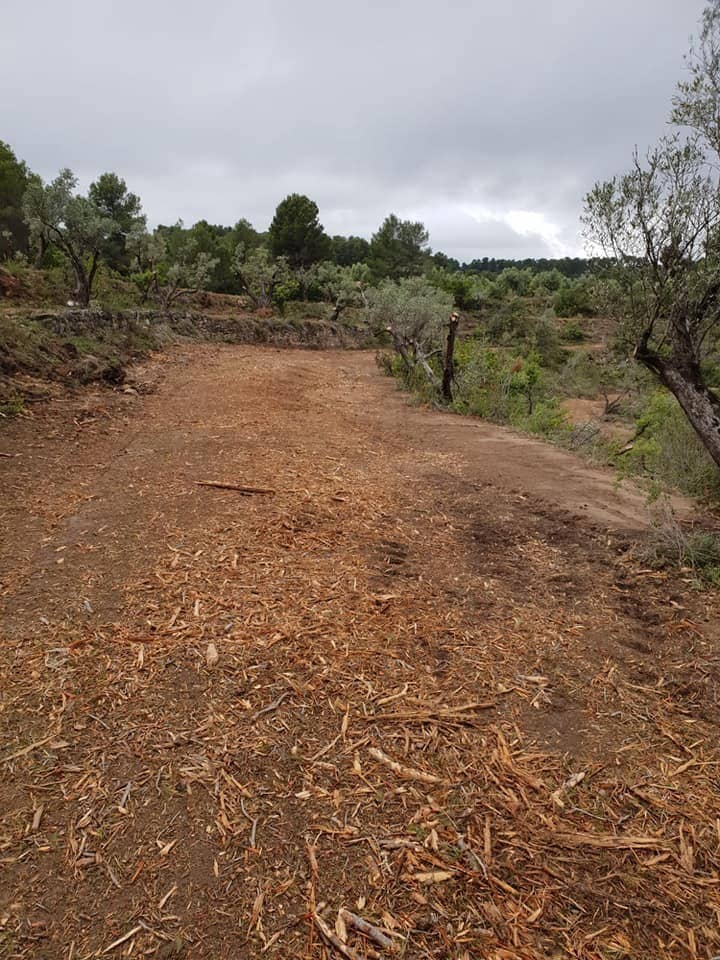 Grunde uden byggetilladelser til salg i Cretas - € 45.000 (Ref: 7343575)