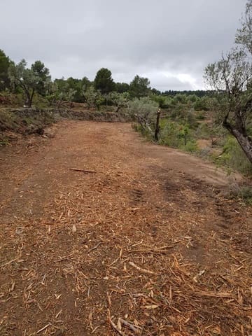 Undeveloped Land for sale in Cretas - € 45,000 (Ref: 7343575)