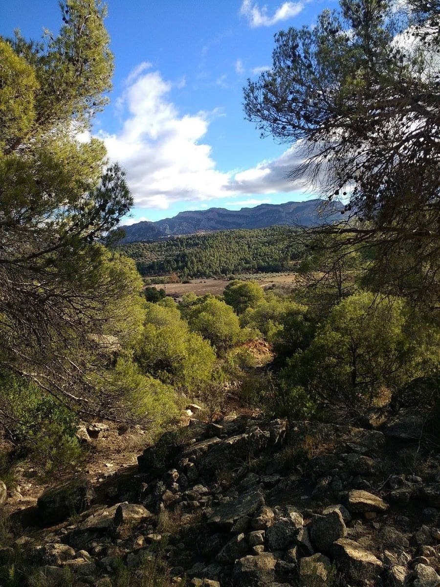 Grunde uden byggetilladelser til salg i Cretas - € 45.000 (Ref: 7343575)