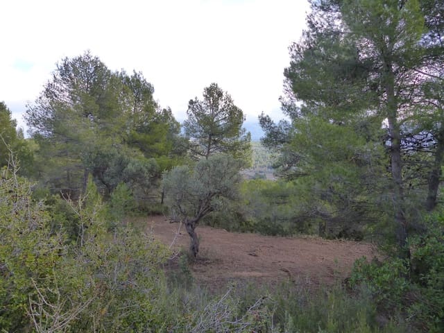 Undeveloped Land for sale in Cretas - € 45,000 (Ref: 7343575)