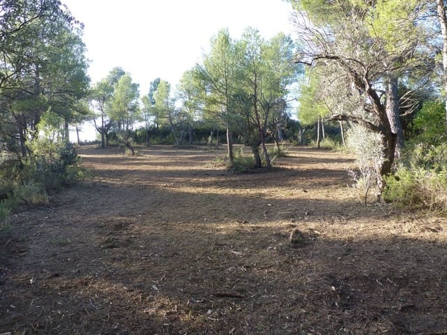 Undeveloped Land for sale in Cretas - € 45,000 (Ref: 7343575)
