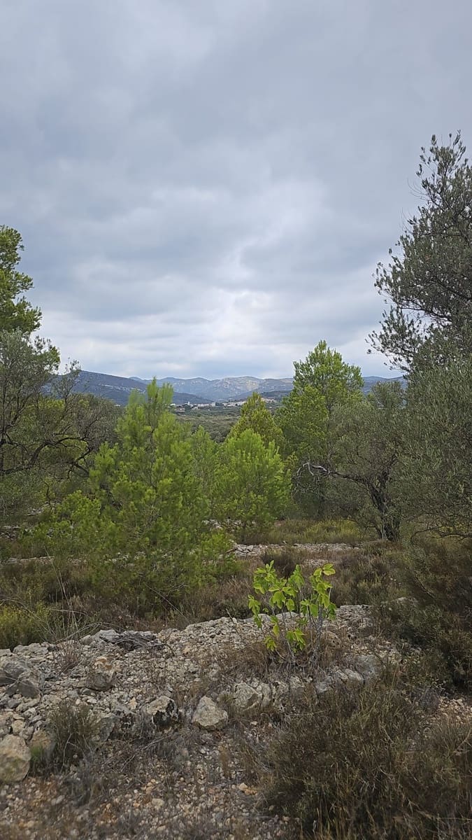 Grunde uden byggetilladelser til salg i San Rafael del Rio / Sant Rafael del Riu - € 33.000 (Ref: 8769593)