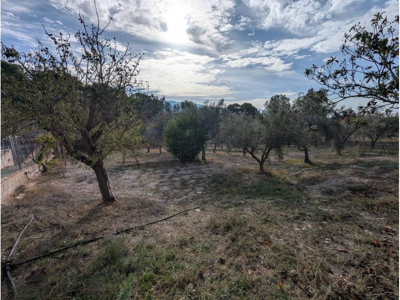 3 slaapkamer Finca/Landhuis te koop in Sax met zwembad - € 210.500 (Ref: 10164011)