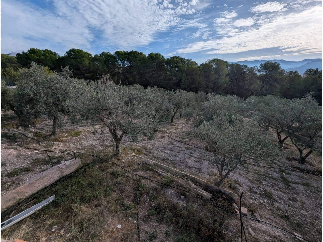 3 slaapkamer Finca/Landhuis te koop in Sax met zwembad - € 210.500 (Ref: 10164011)