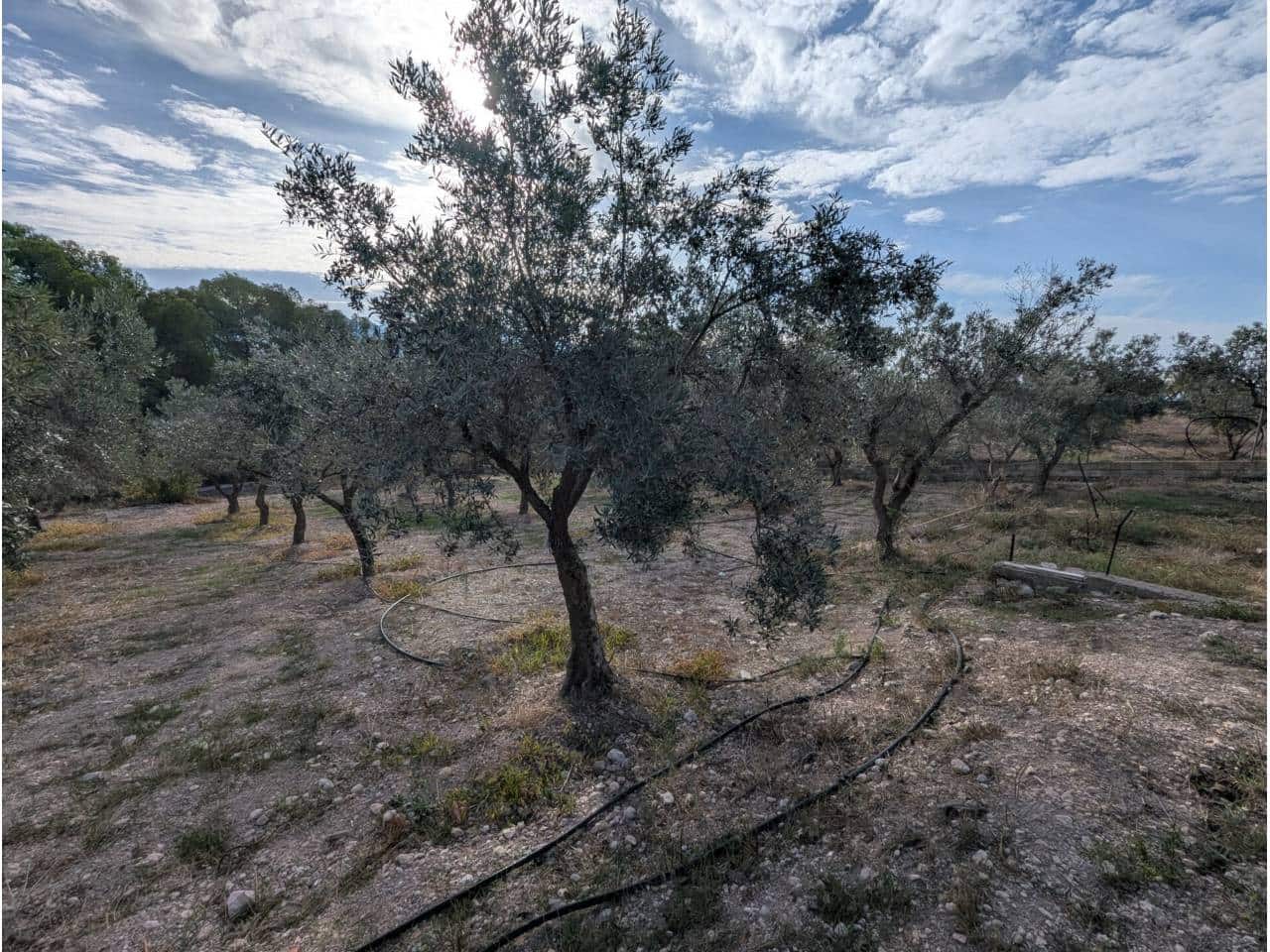 3 slaapkamer Finca/Landhuis te koop in Sax met zwembad - € 210.500 (Ref: 10164011)