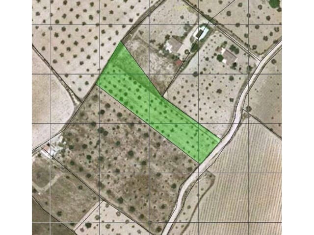 Mark till salu i Sax - 18 000 € (Ref: 2208795)