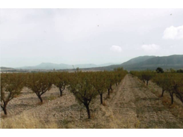 Undeveloped Land for sale in Salinas - € 160,000 (Ref: 3691701)