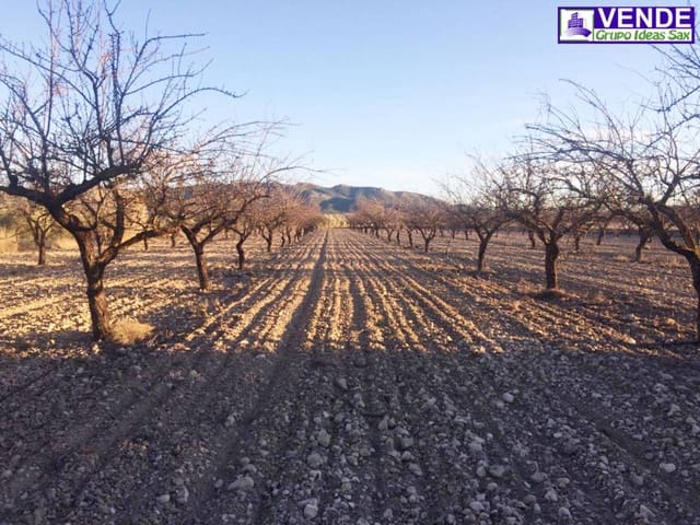 Undeveloped Land for sale in Salinas - € 40,000 (Ref: 5910022)