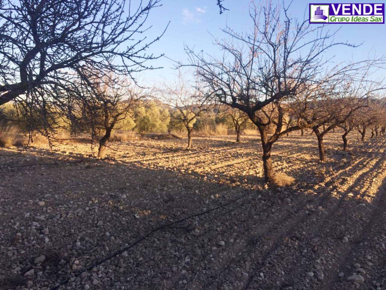 Undeveloped Land for sale in Salinas - € 40,000 (Ref: 5910022)