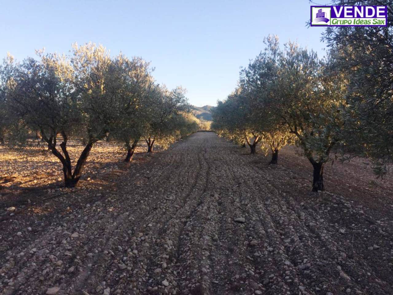 Undeveloped Land for sale in Salinas - € 40,000 (Ref: 5910022)