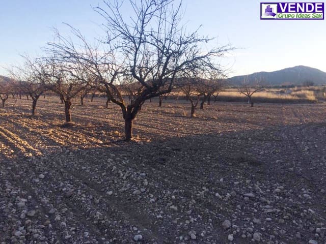 Undeveloped Land for sale in Salinas - € 40,000 (Ref: 5910022)