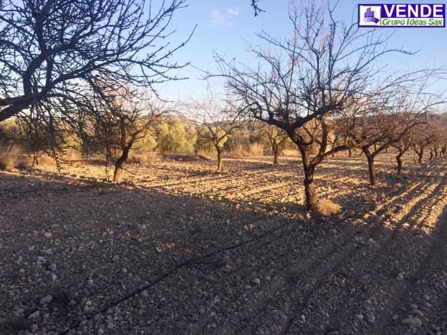 Undeveloped Land for sale in Salinas - € 40,000 (Ref: 5910022)