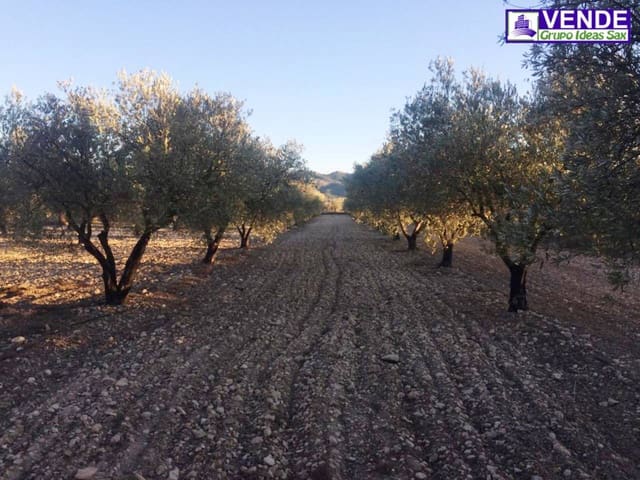 Undeveloped Land for sale in Salinas - € 40,000 (Ref: 5910022)